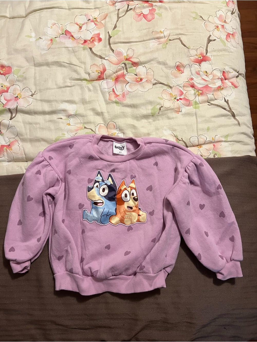 Bluey - Precious Purple Sweater Hearts Bluey Bingo 4T